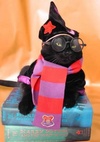 harry_potter.jpg