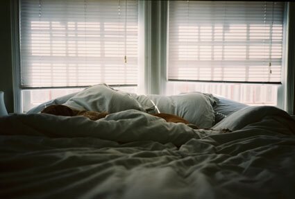 lomo3.jpg